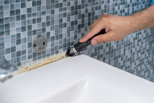 Reliable Sylvester, GA Mold Removal Solutions